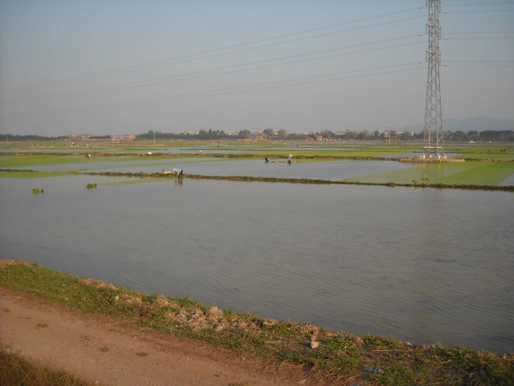 Photo of Việt Yên