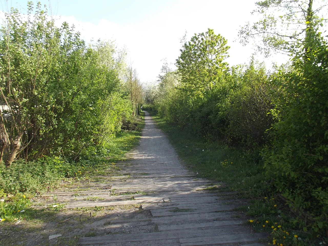 Photo of Vieux-Condé