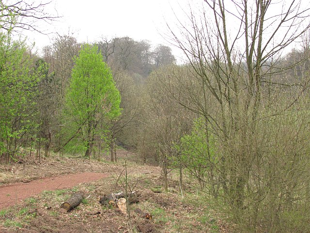 Viewpark Glen