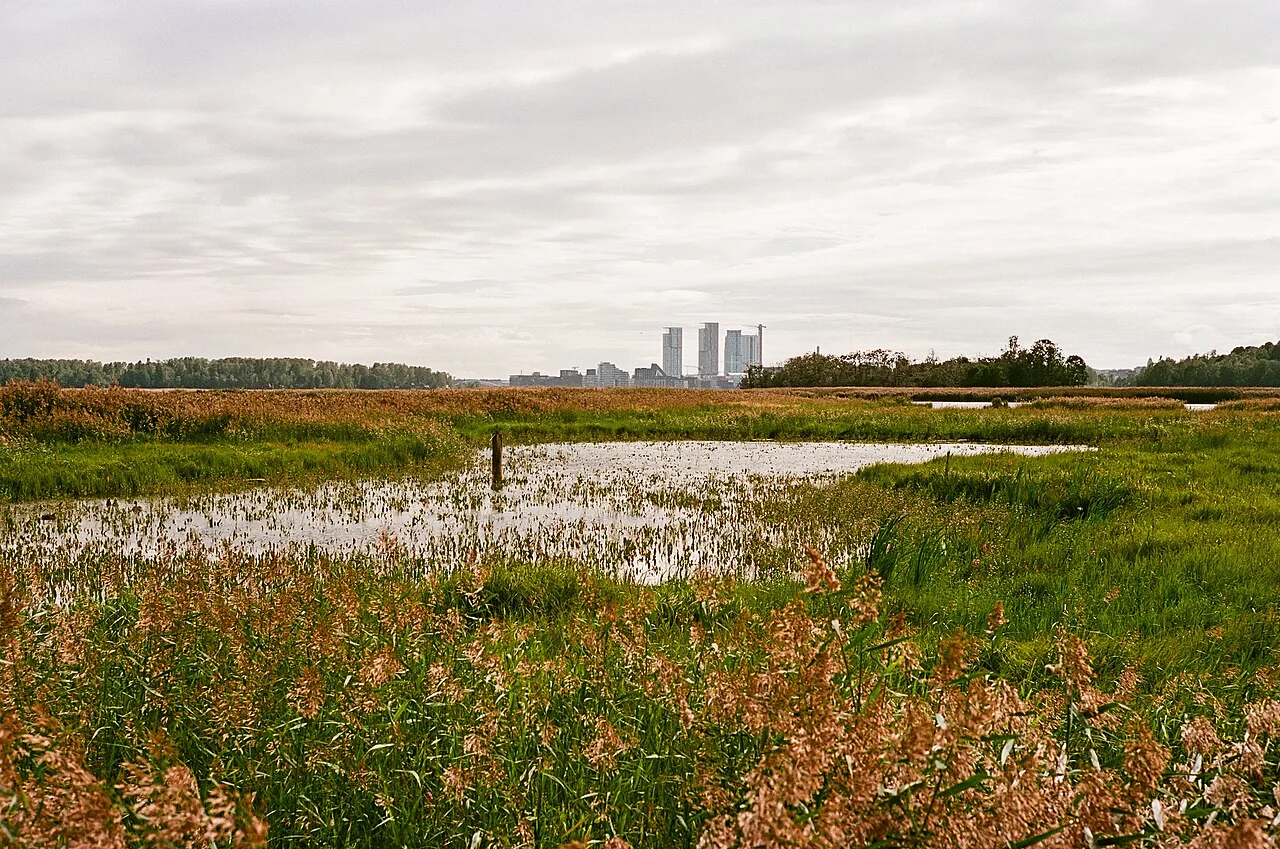 Photo of Viikinranta