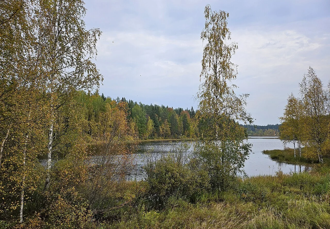 Photo of Viitasaari