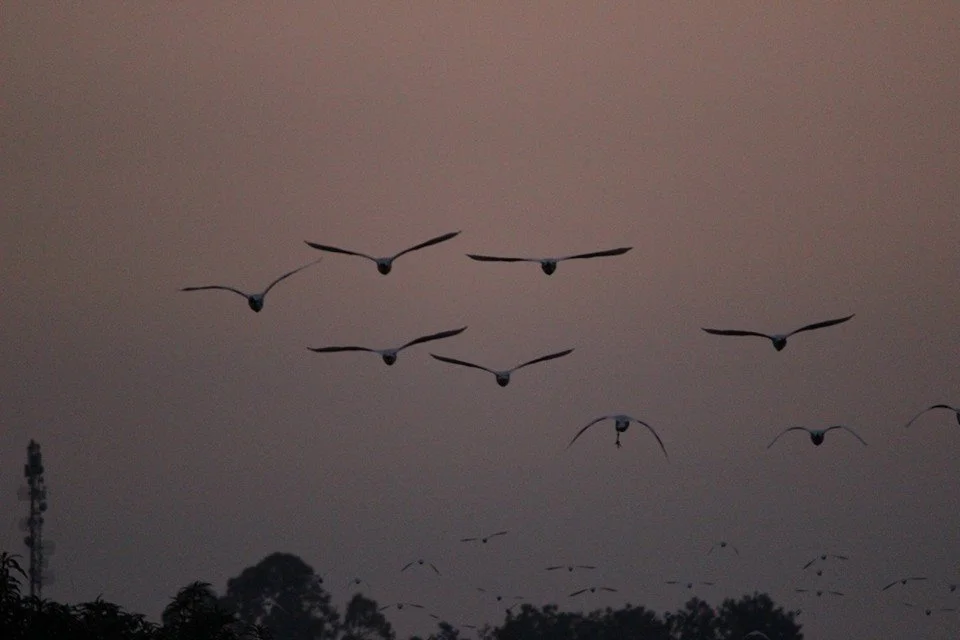 Photo of Vikāsnagar