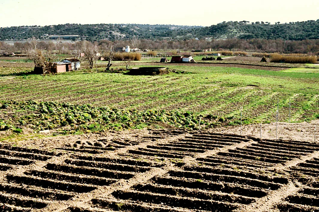 Photo of Villa del Prado