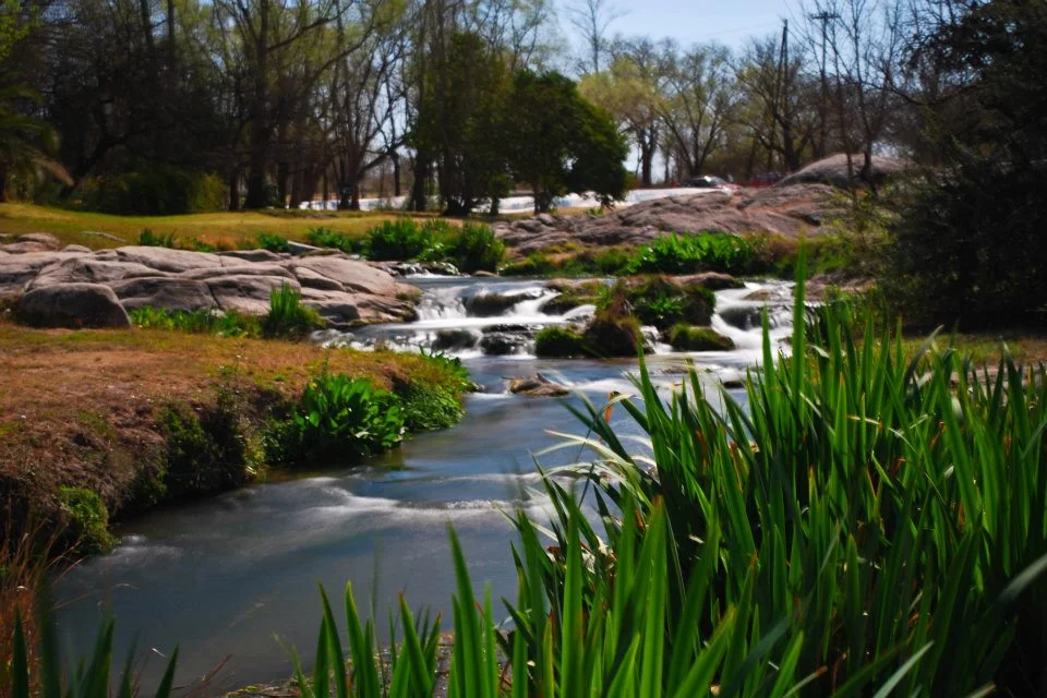 Photo of Villa del Totoral