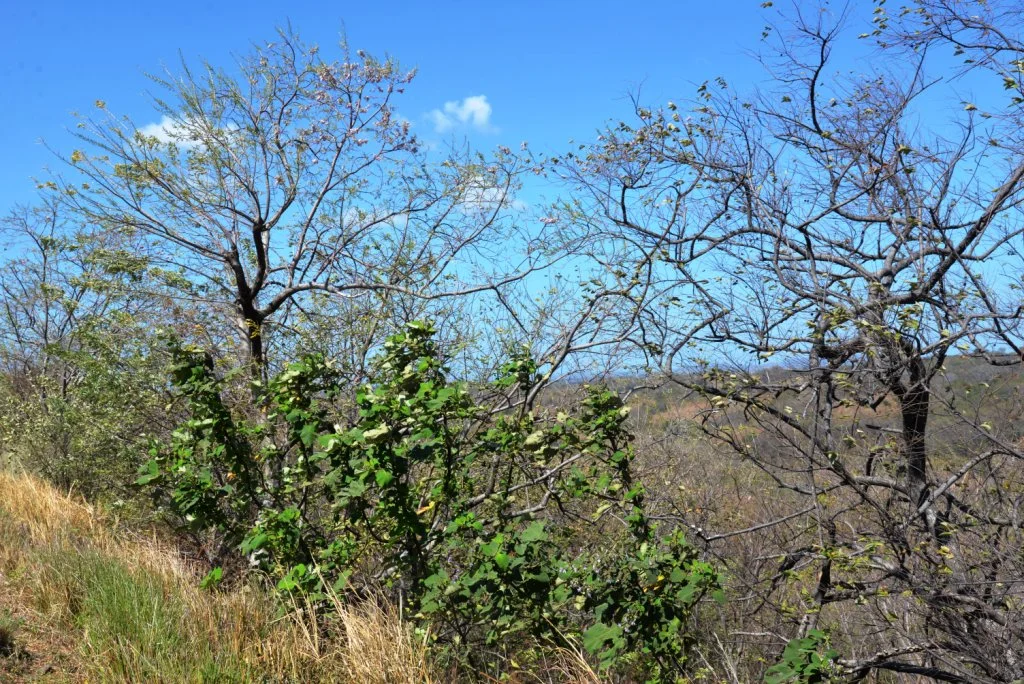 Photo of Villa El Carmen