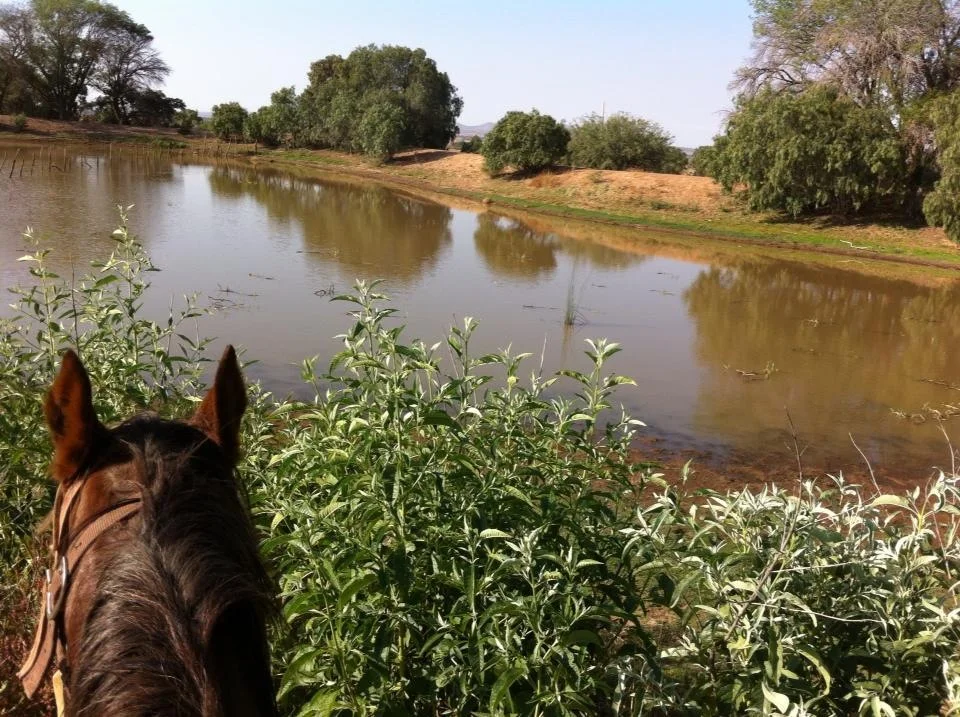 Photo of Villa González Ortega