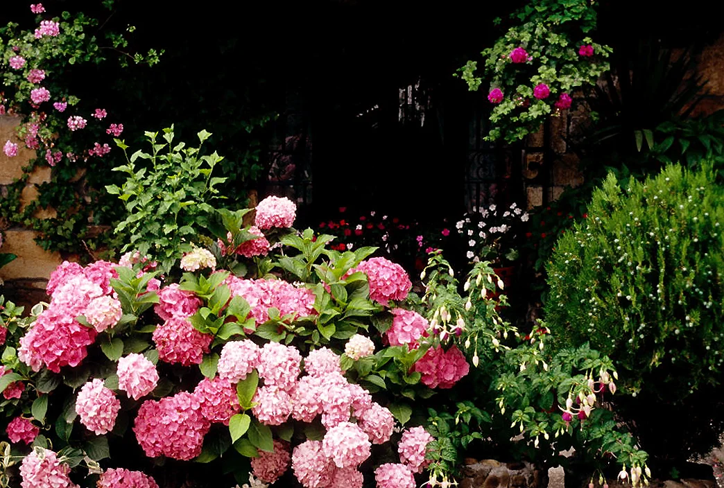 Photo of Villacarriedo