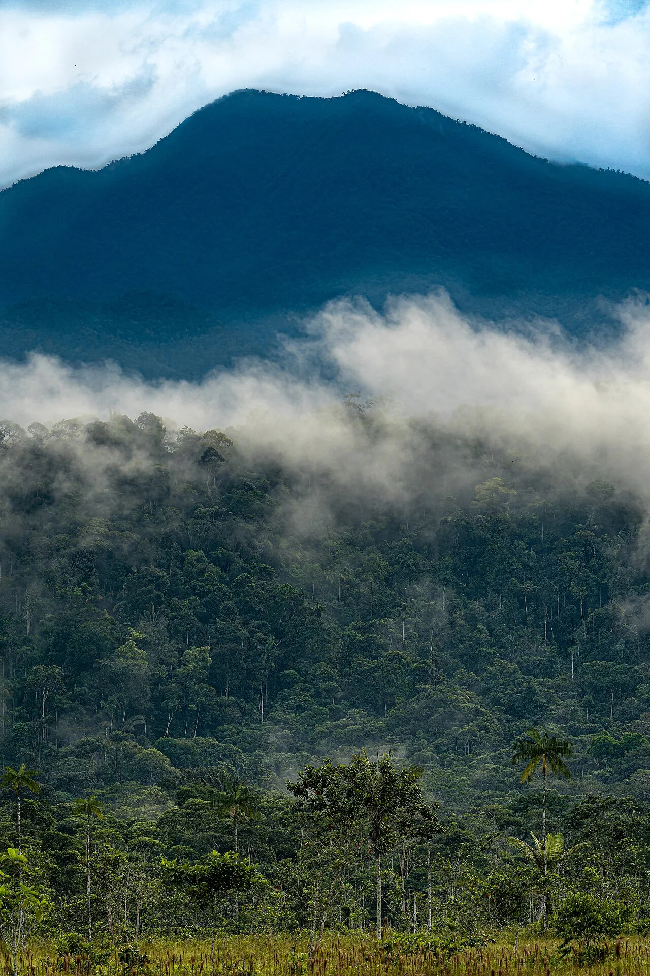 Photo of Villagarzón