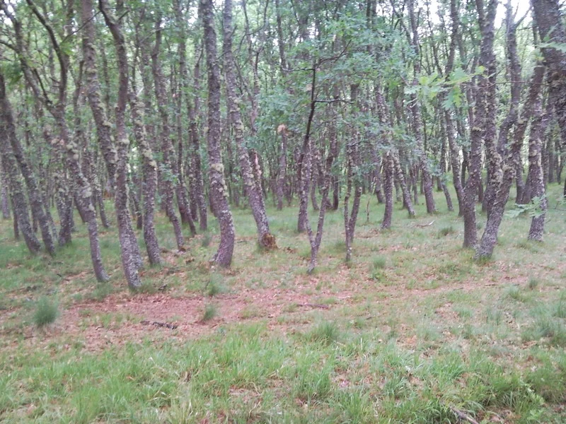 Photo of Villagatón