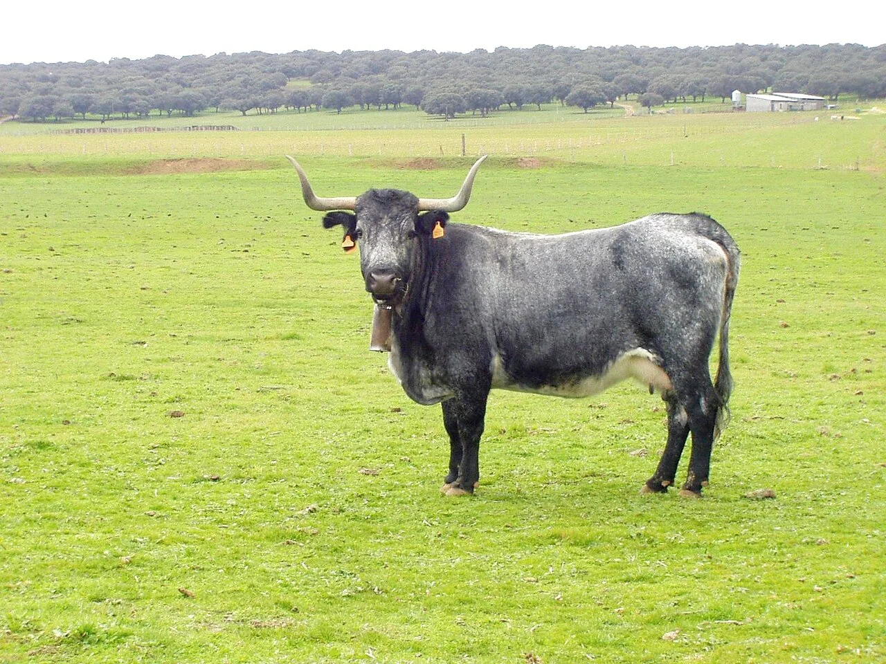 Photo of Villalba de los Llanos