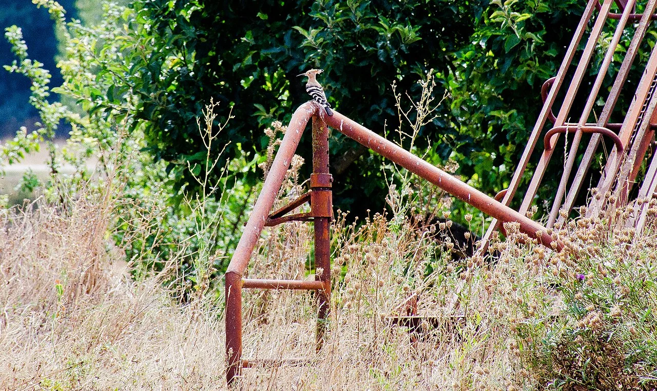 Photo of Villamayor de Treviño