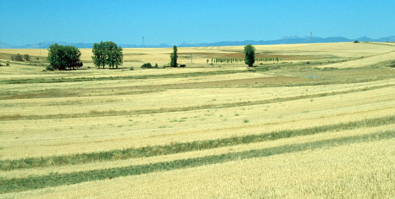 Photo of Villamoratiel de las Matas