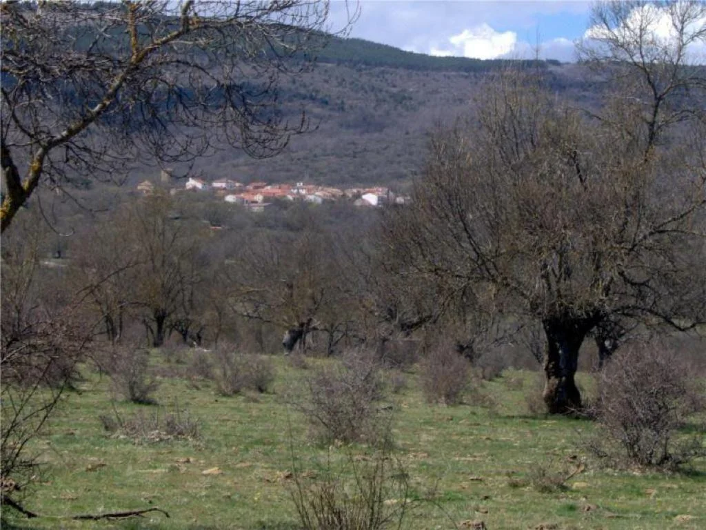 Photo of Villar del Ala