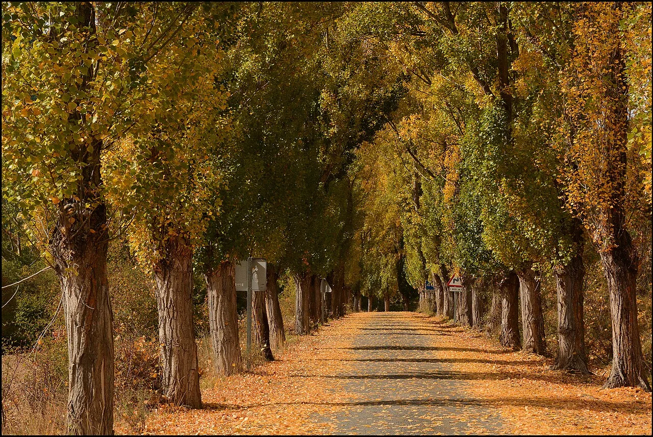 Photo of Villar del Río