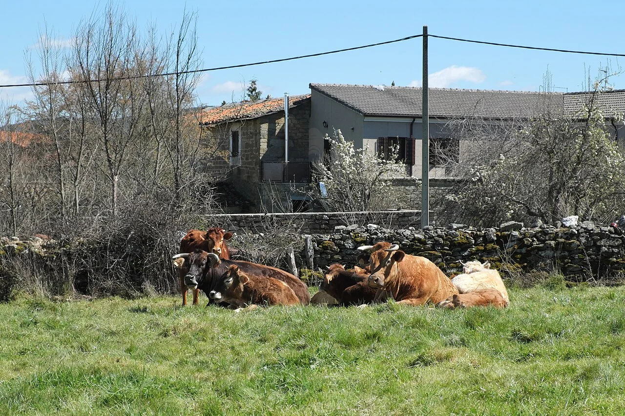 Photo of Villardeciervos