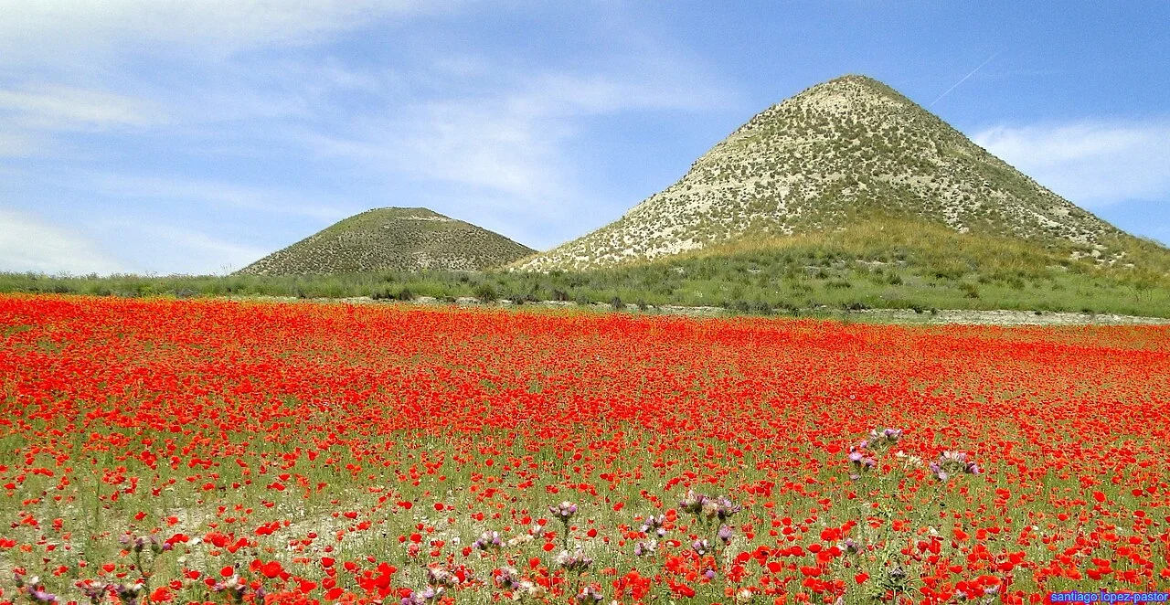 Photo of Villaseca de la Sagra