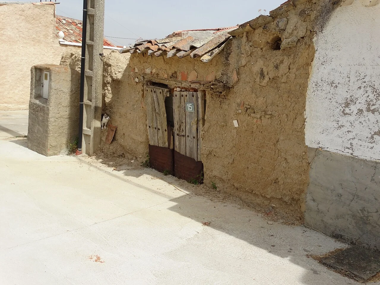 Photo of Villavellid