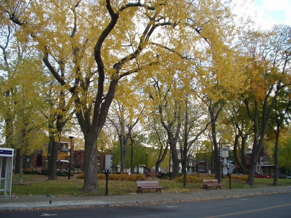 Photo of Ville-Émard