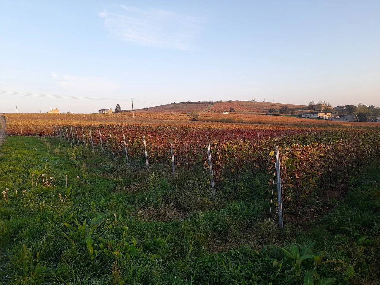 Photo of Villié-Morgon