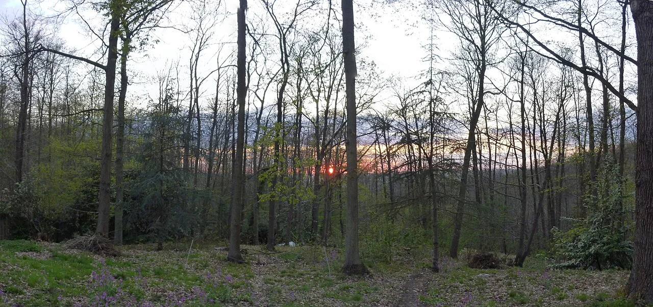 Photo of Villiers-Saint-Fréderic