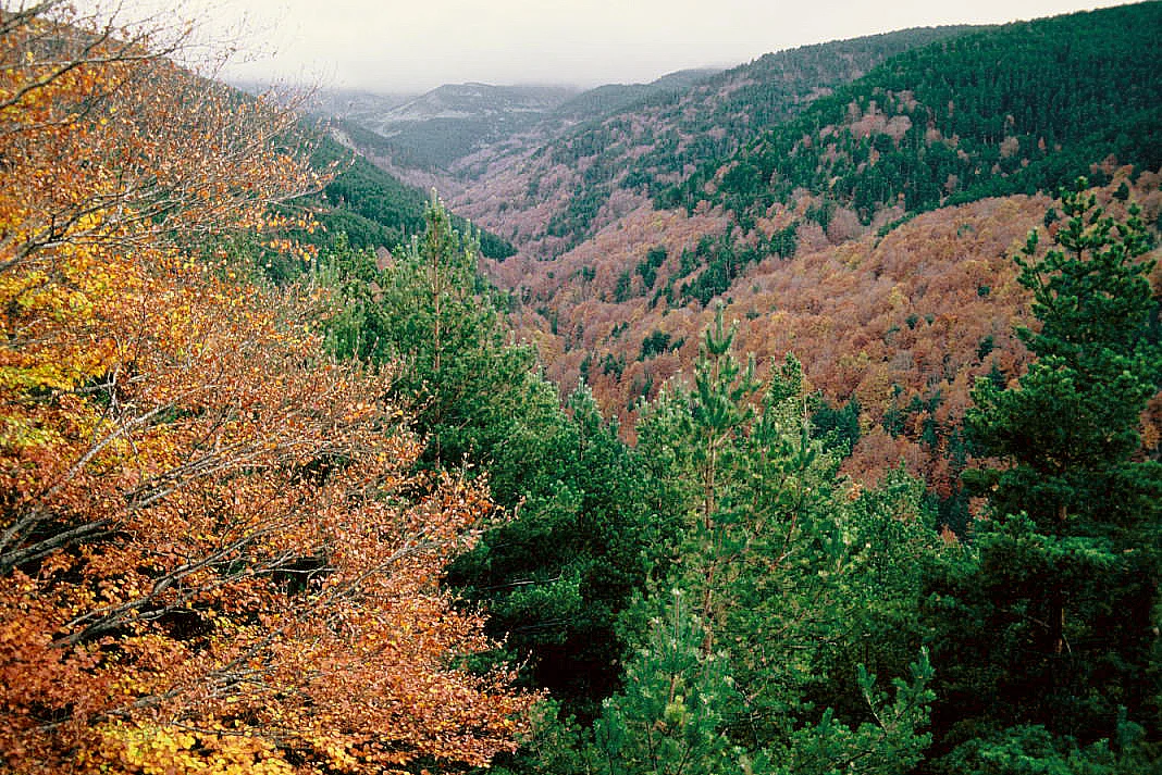 Photo of Villoslada de Cameros