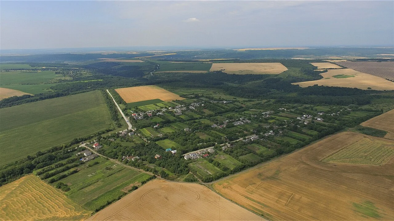 Photo of Vilne