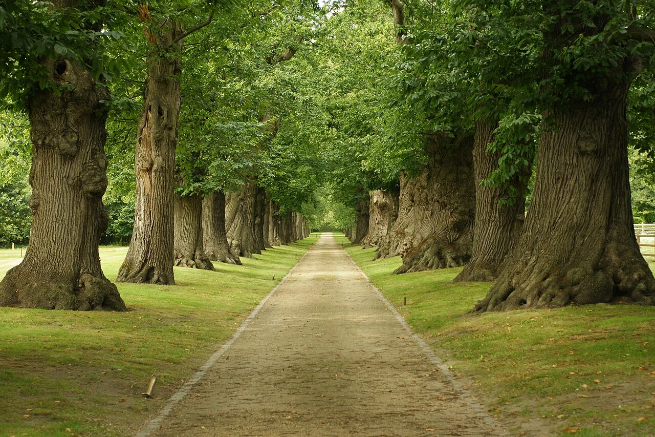 Photo of Vinderhoute