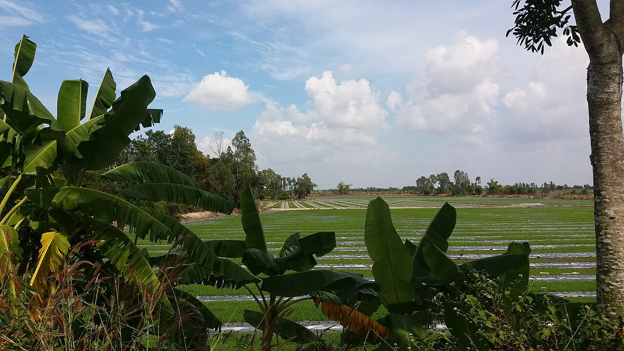 Photo of Vĩnh Hưng