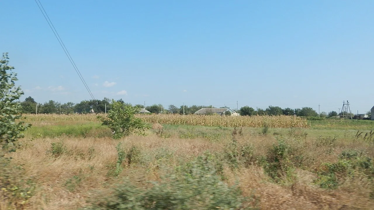 Photo of Vinogradnyy