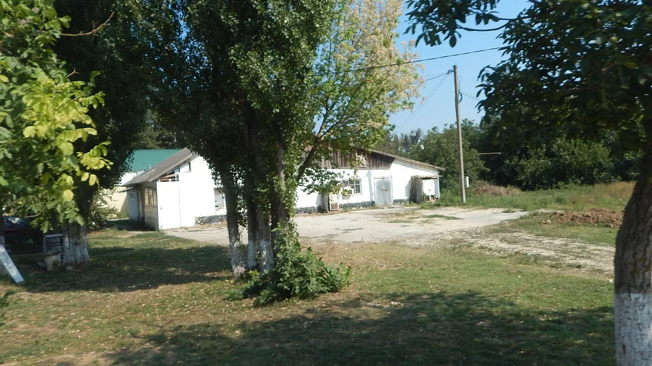 Photo of Vinogradnyy