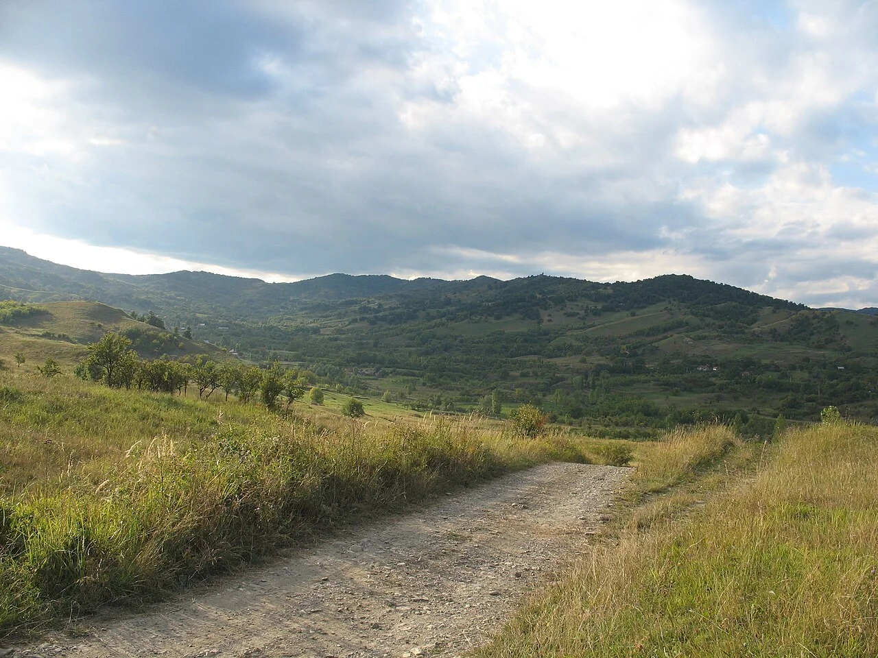 Photo of Vintilă Vodă