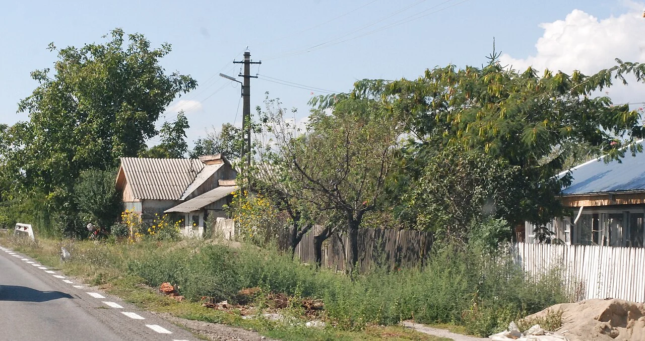 Photo of Vintileanca