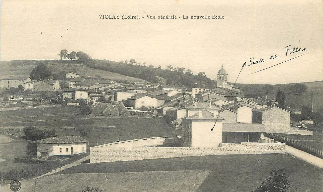 Photo of Violay
