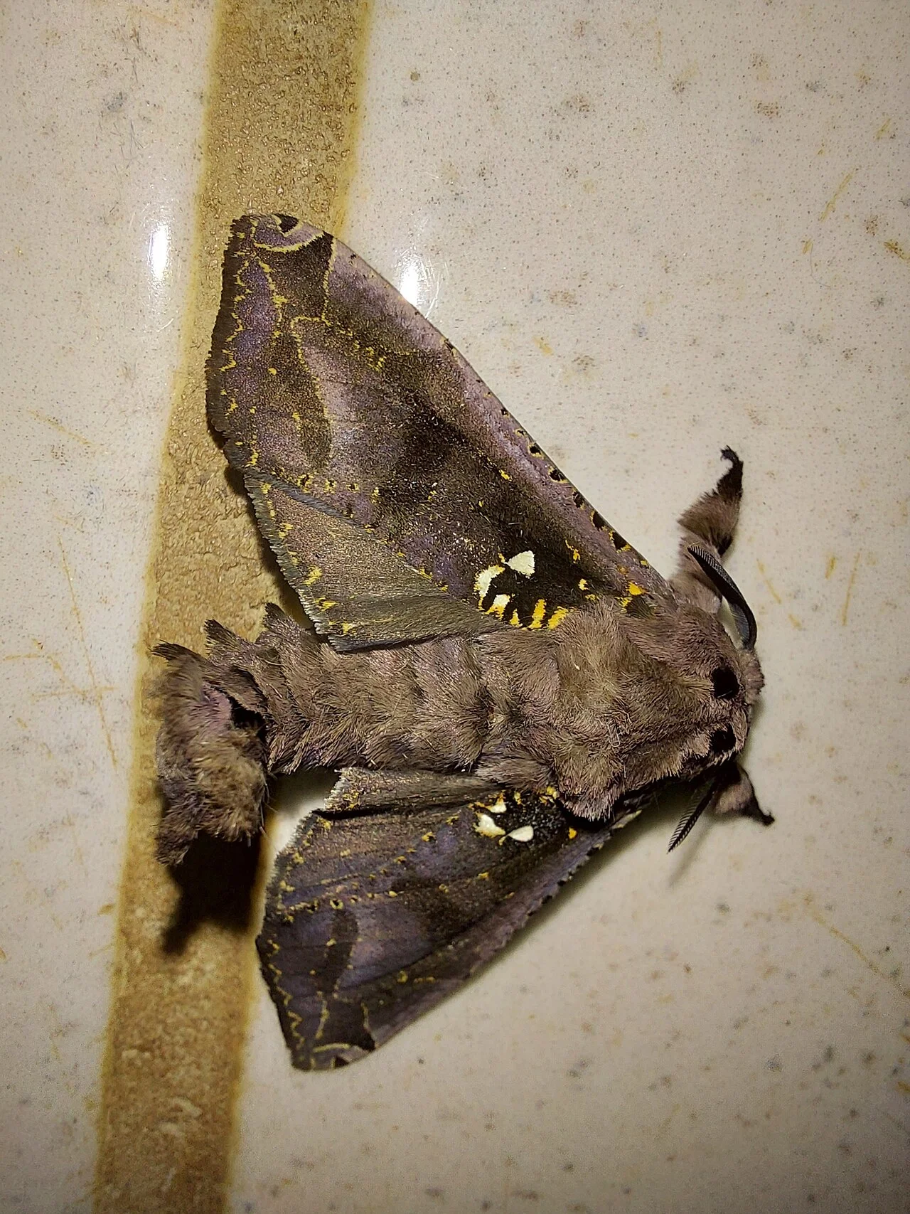 Photo of Virginópolis