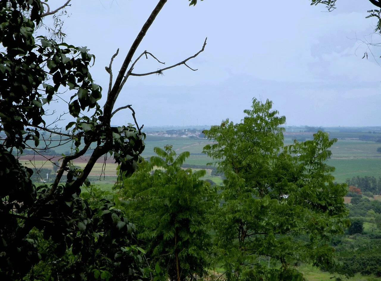 Photo of Vista Alegre do Alto