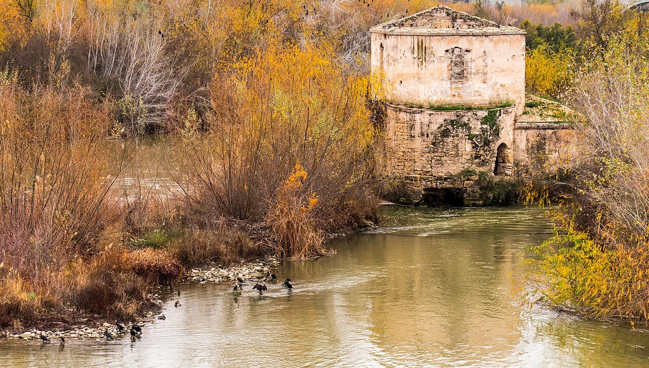 Photo of Vista Alegre