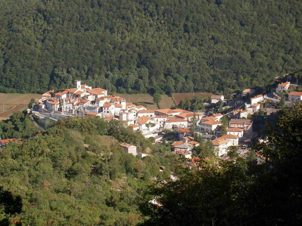 Photo of Viticuso