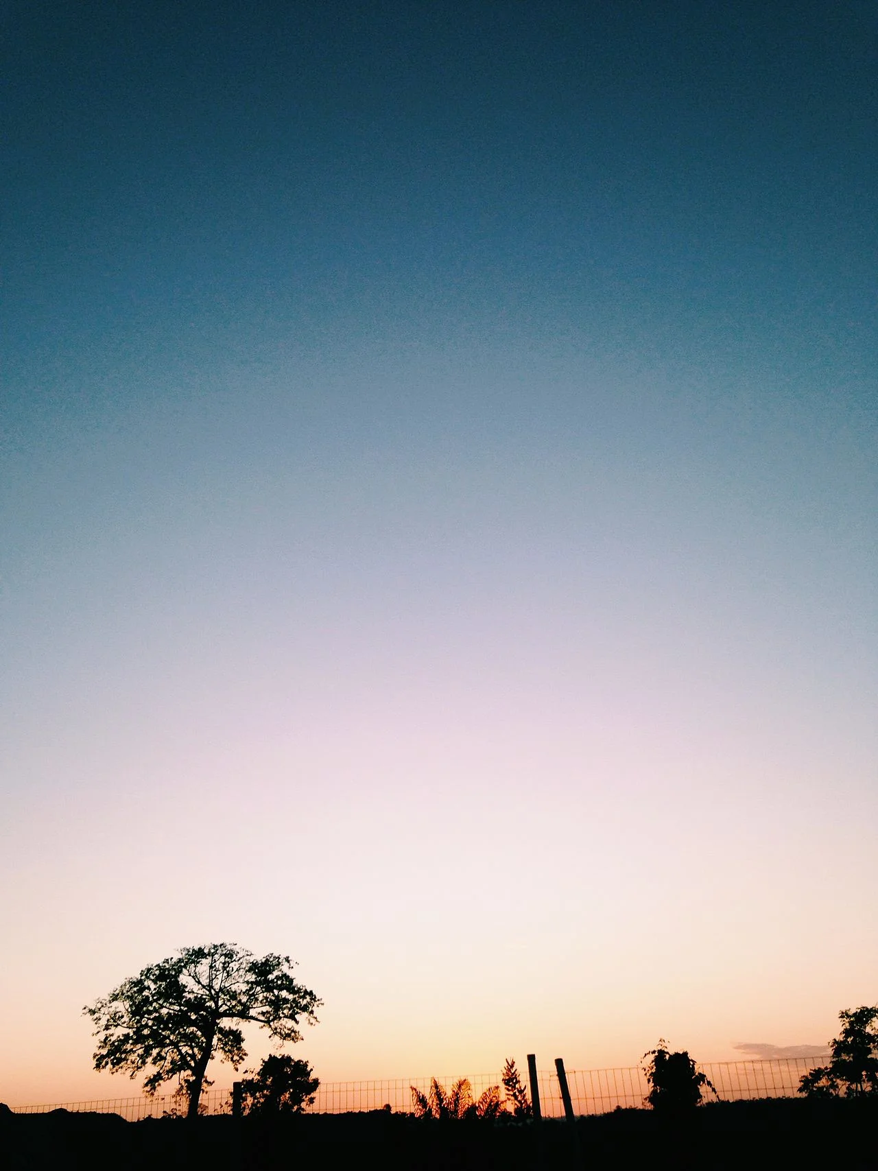 Photo of Vitória do Xingu