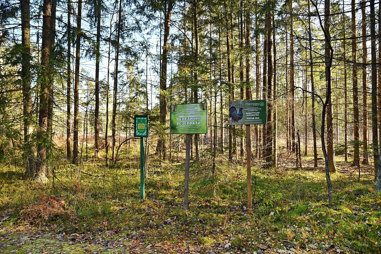 Photo of Voiehoshcha