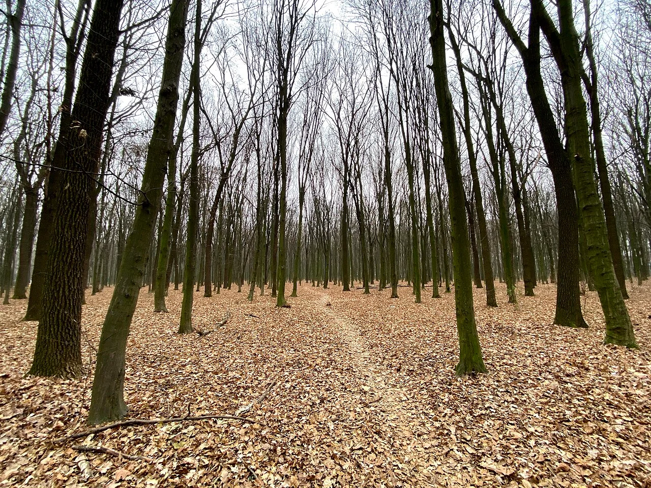 Photo of Vyhurivshchyna-Troieshchyna