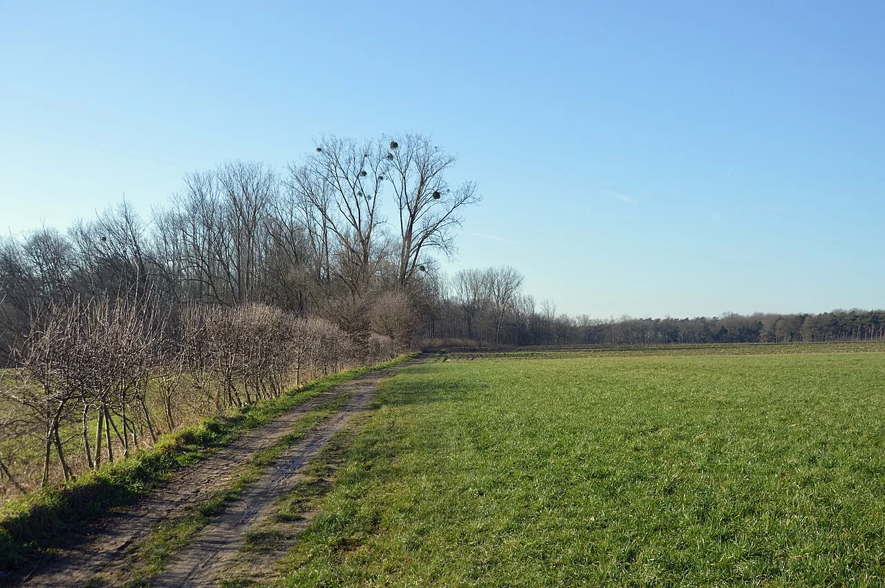 Photo of Waasmunster