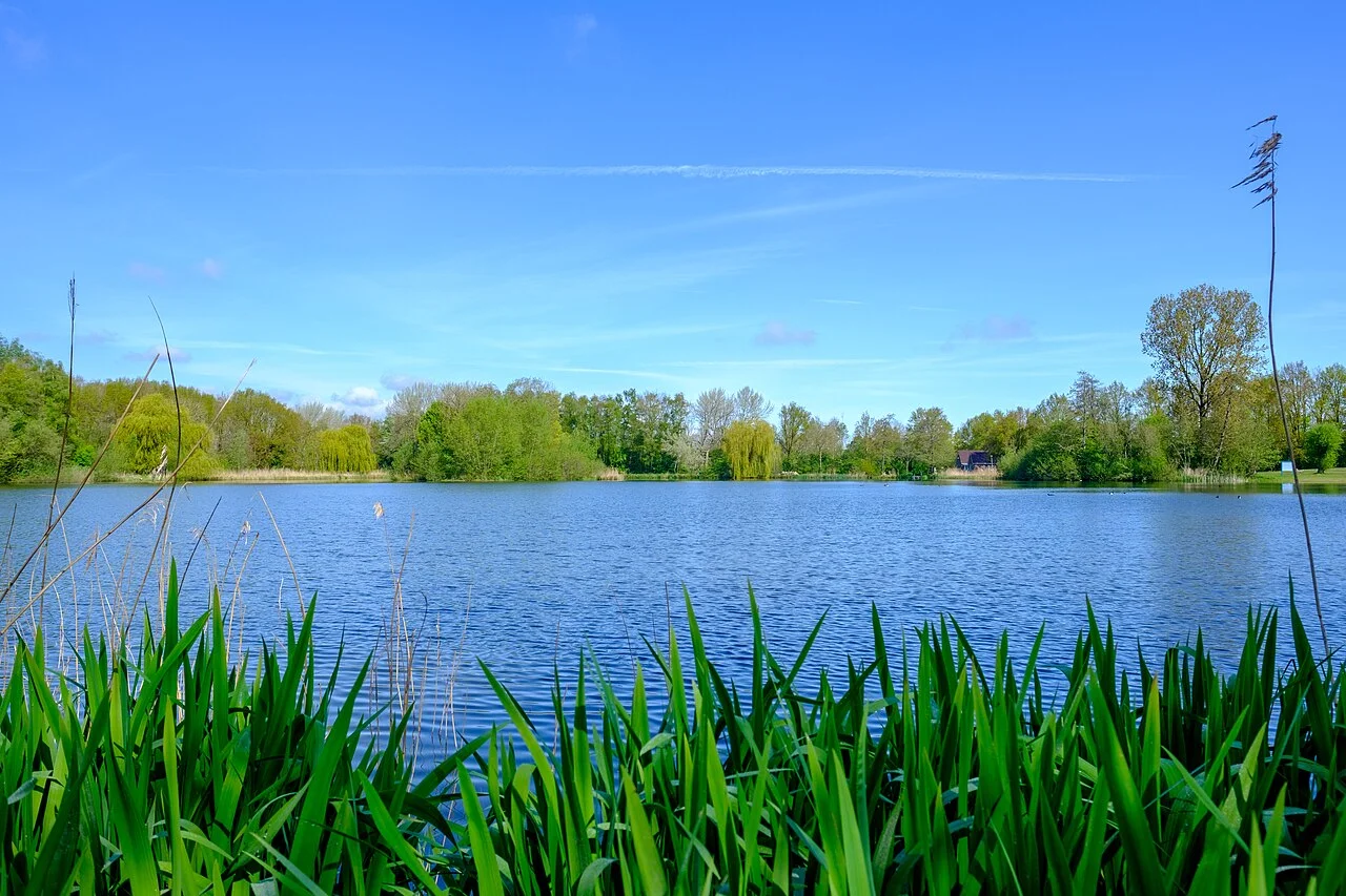 Photo of Wagenborgen