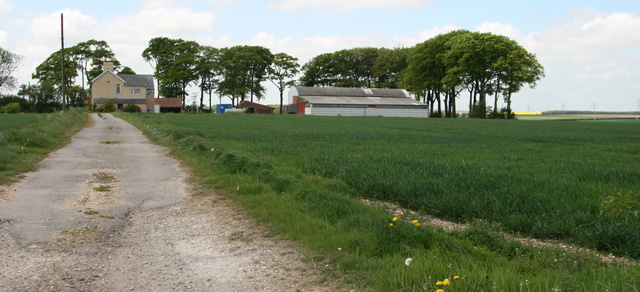 Walkington Wold Farm, Walkington, East Riding of Yorkshire, England.As with many farms, sycamores provide some protection from the winds.  This photograph looks west from Wold Road, at the eastern end of the square.