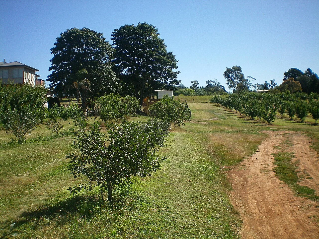 Photo of Wandin North