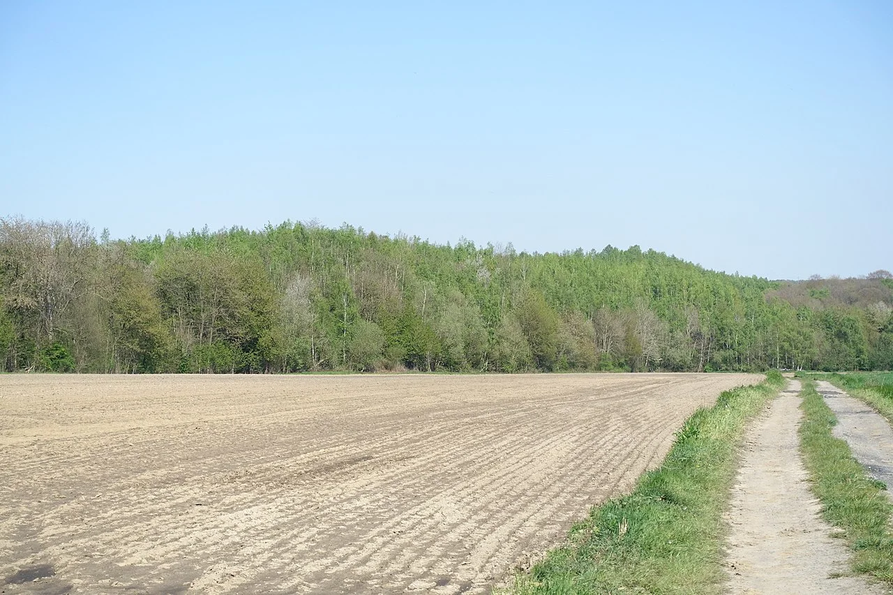 Photo of Wanfercée-Baulet