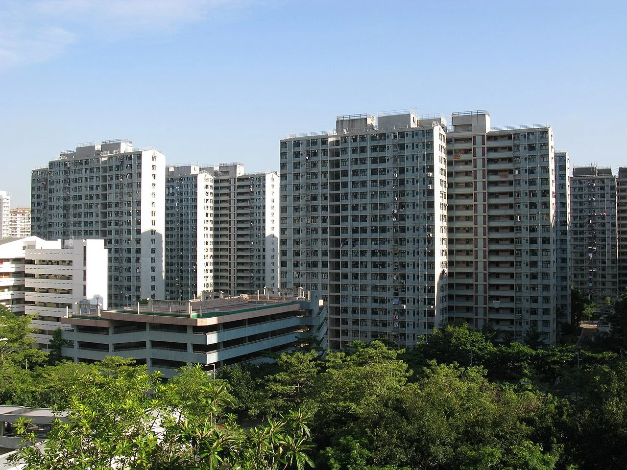 Photo of Wang Tau Hom Estate