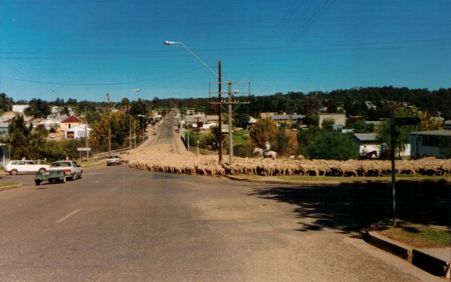 Photo of Warialda
