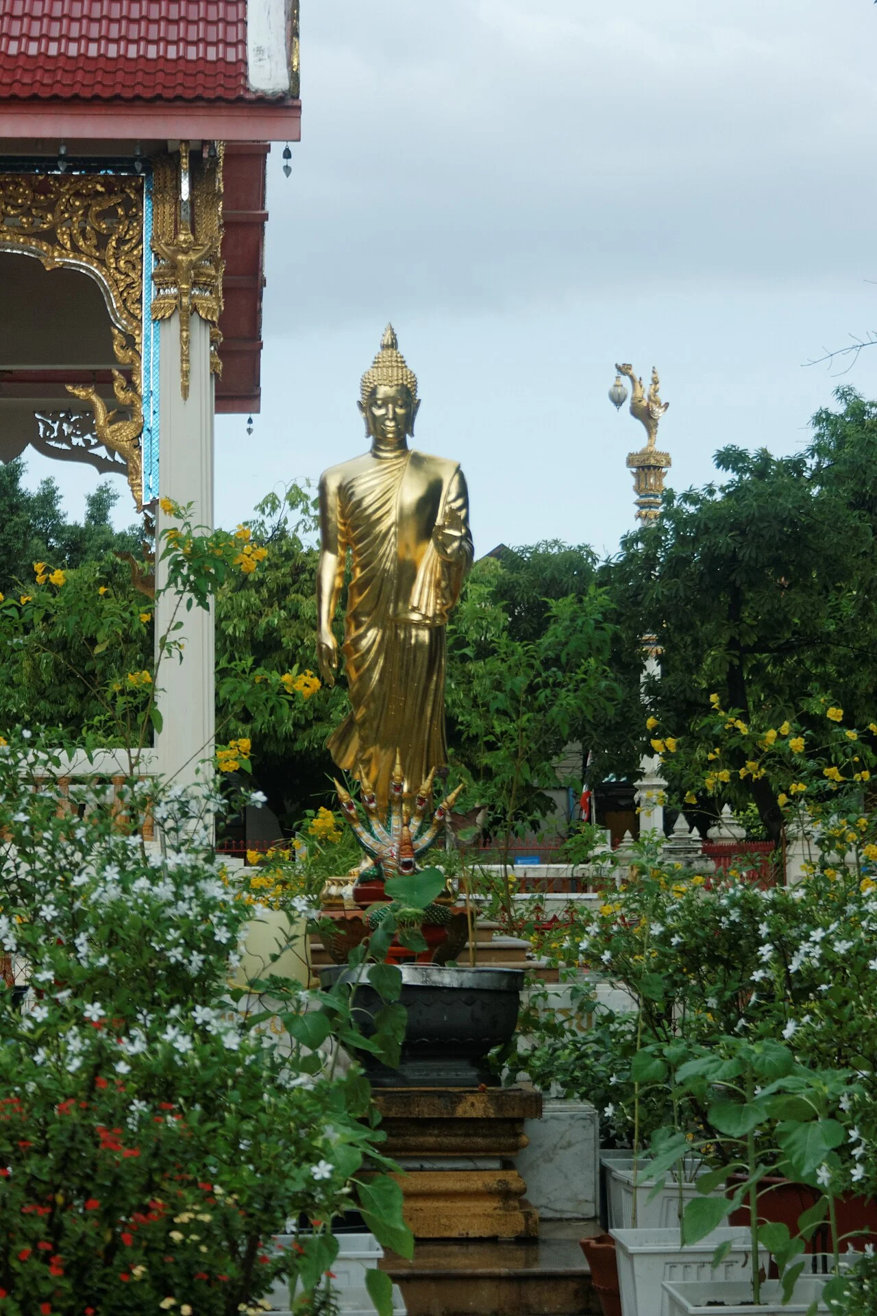Photo of Wat Phleng