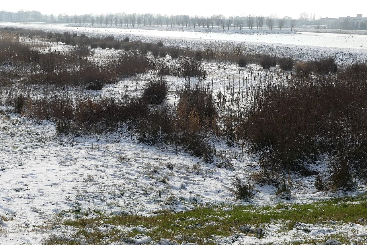 Photo of Waterakkers