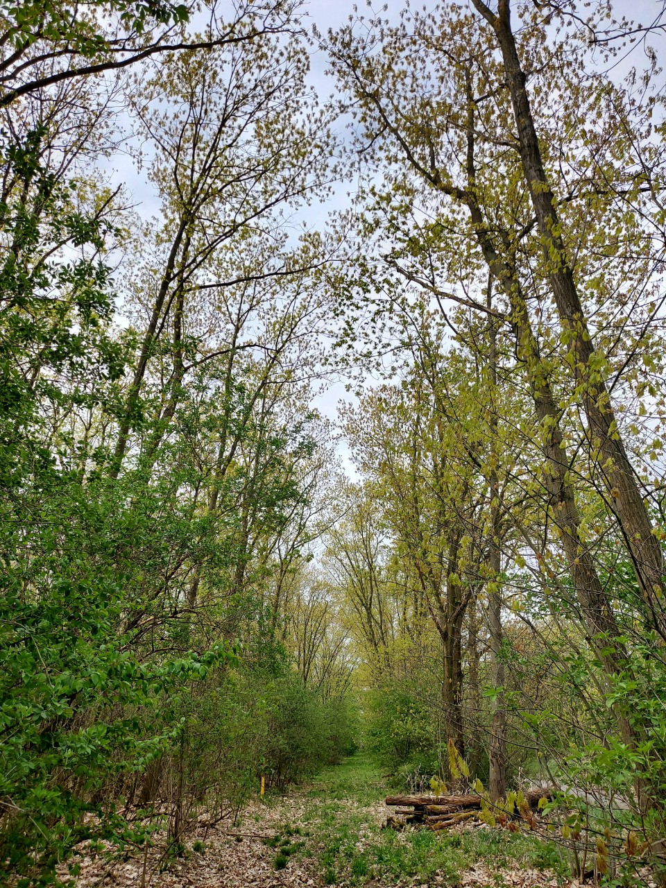 In this new, busy, 9 till 4 society, no one would ever think that there can be such beautiful sceneries so near to his/her house. People tend to travel a long long way to be able to immerse in nature, but mother nature's beauty exists everywhere on this planet Earth as long as we pay enough attention.